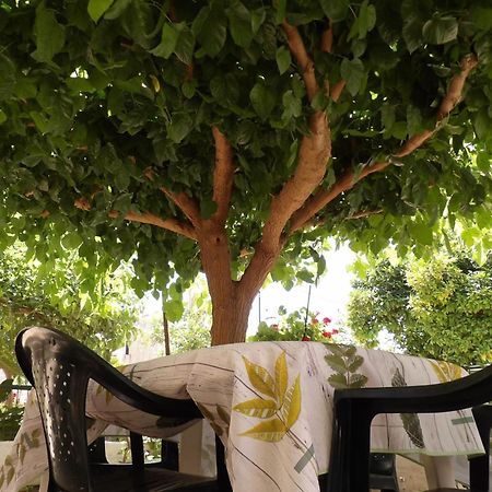 Vivari'S Family House نافبليو المظهر الخارجي الصورة