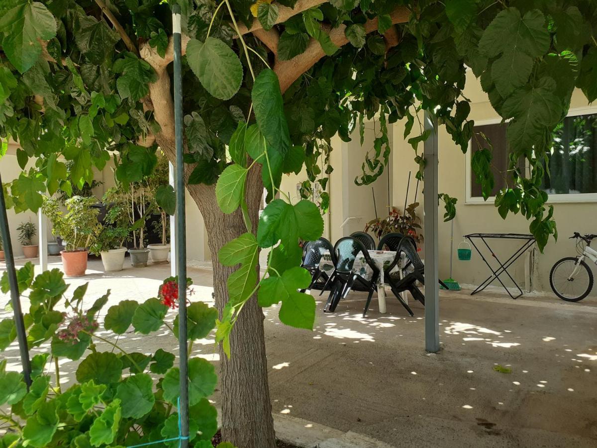 Vivari'S Family House نافبليو المظهر الخارجي الصورة