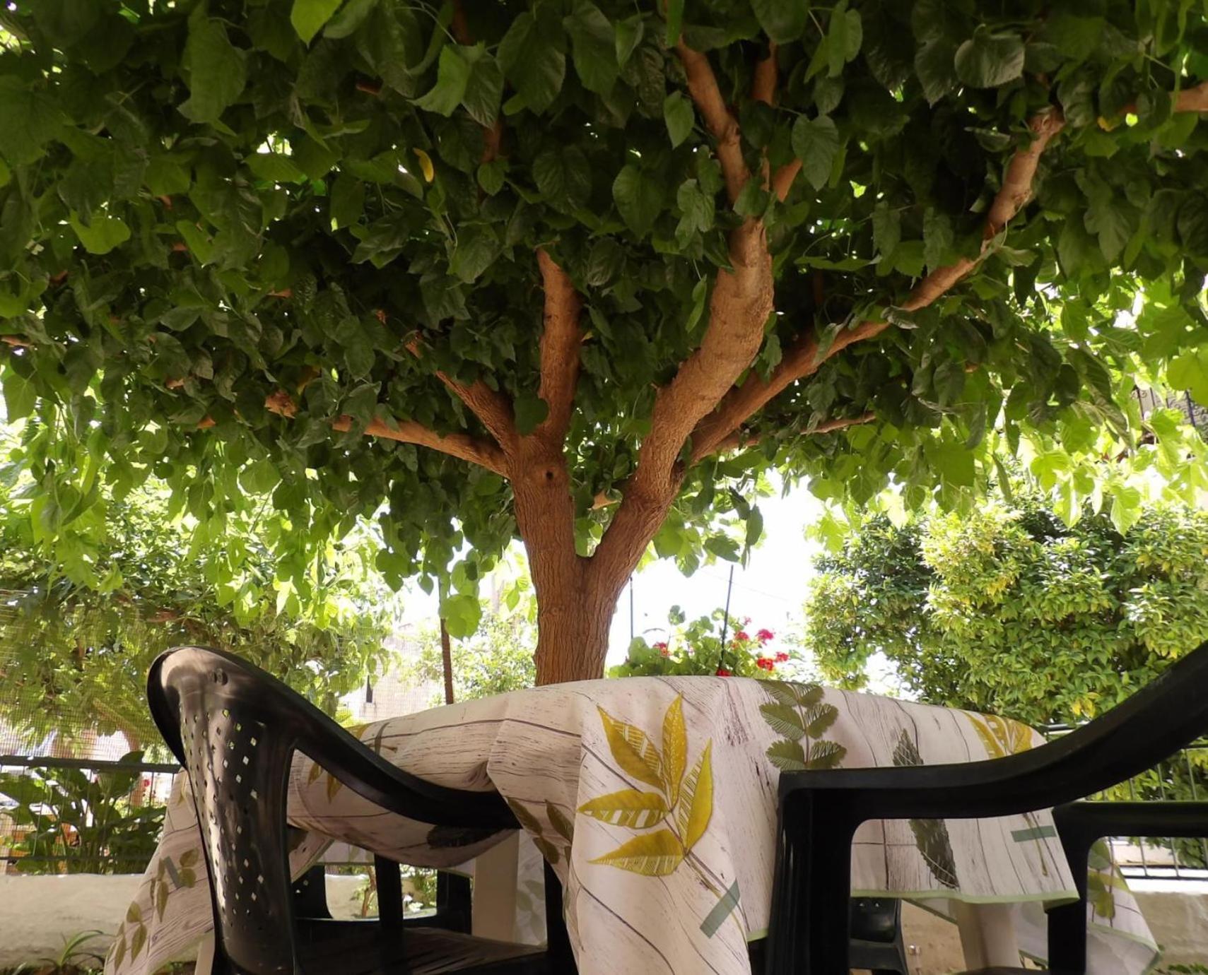 Vivari'S Family House نافبليو المظهر الخارجي الصورة